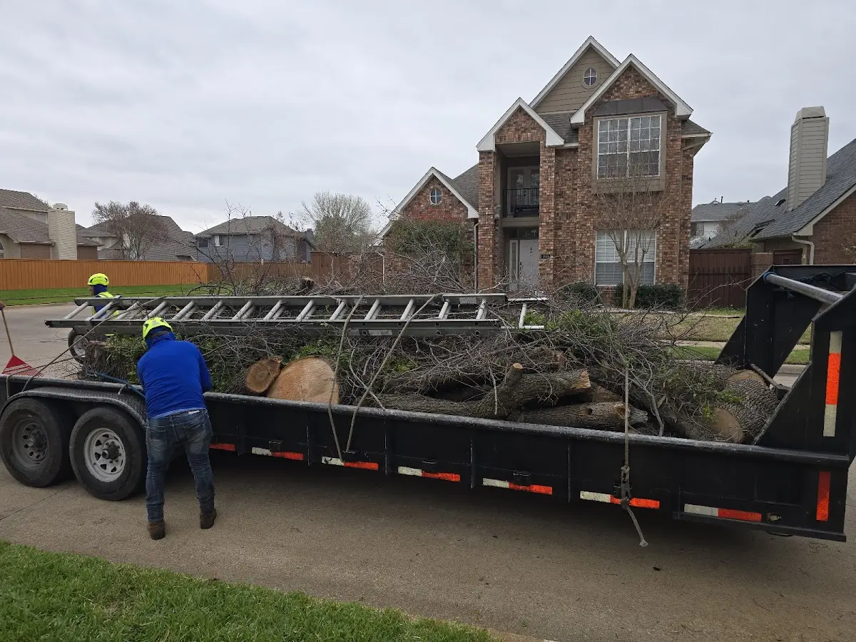 Expert Tree Pest Control with proper safety equipment in Mcpherson